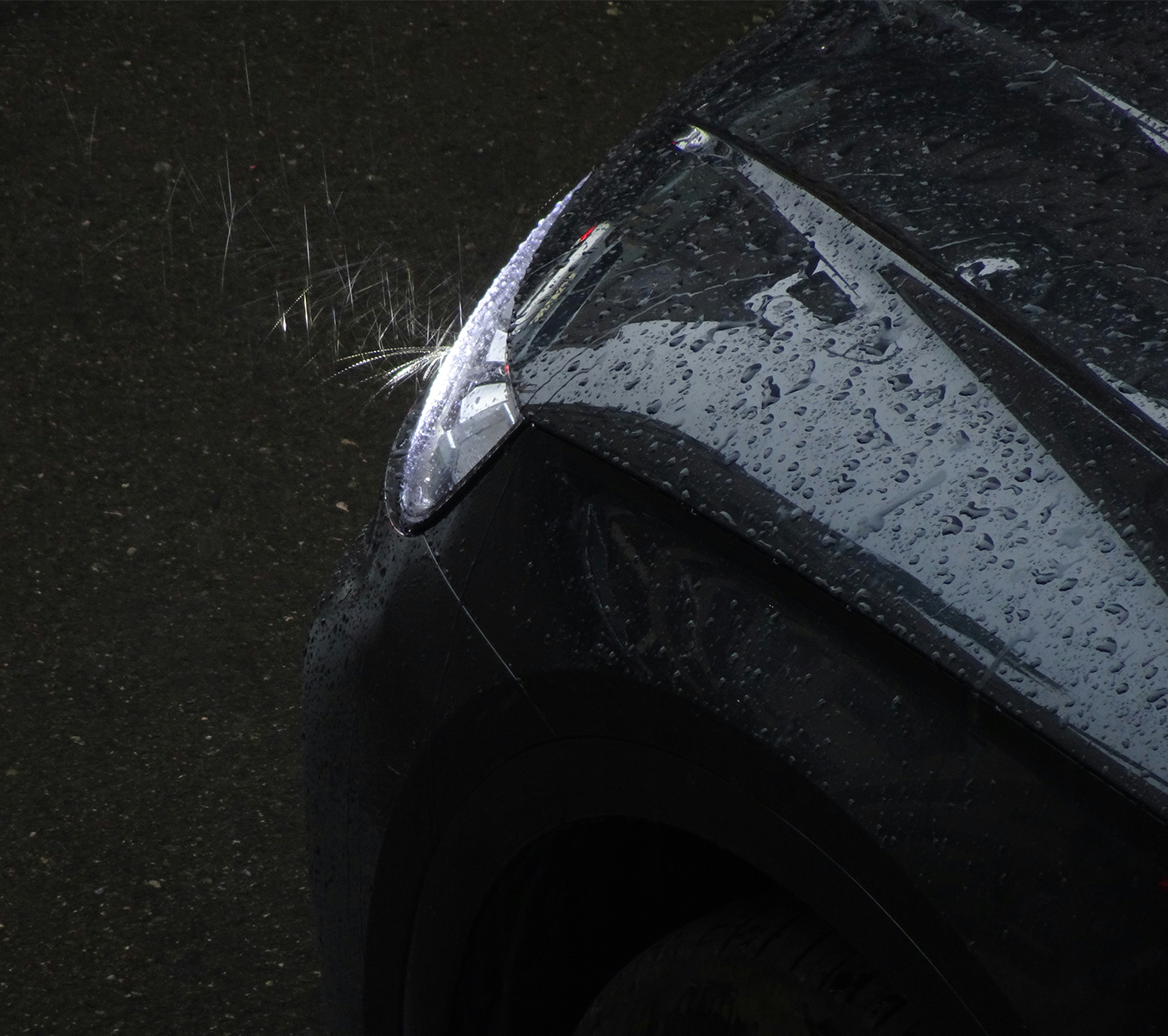 PDR, PAINTLESS DENT REPAIR, MENINIS LYGINIMAS, DUOBUČIŲ LYGINIMAS, KĖBULO LYGINIMAS, KĖBULO REMONTAS